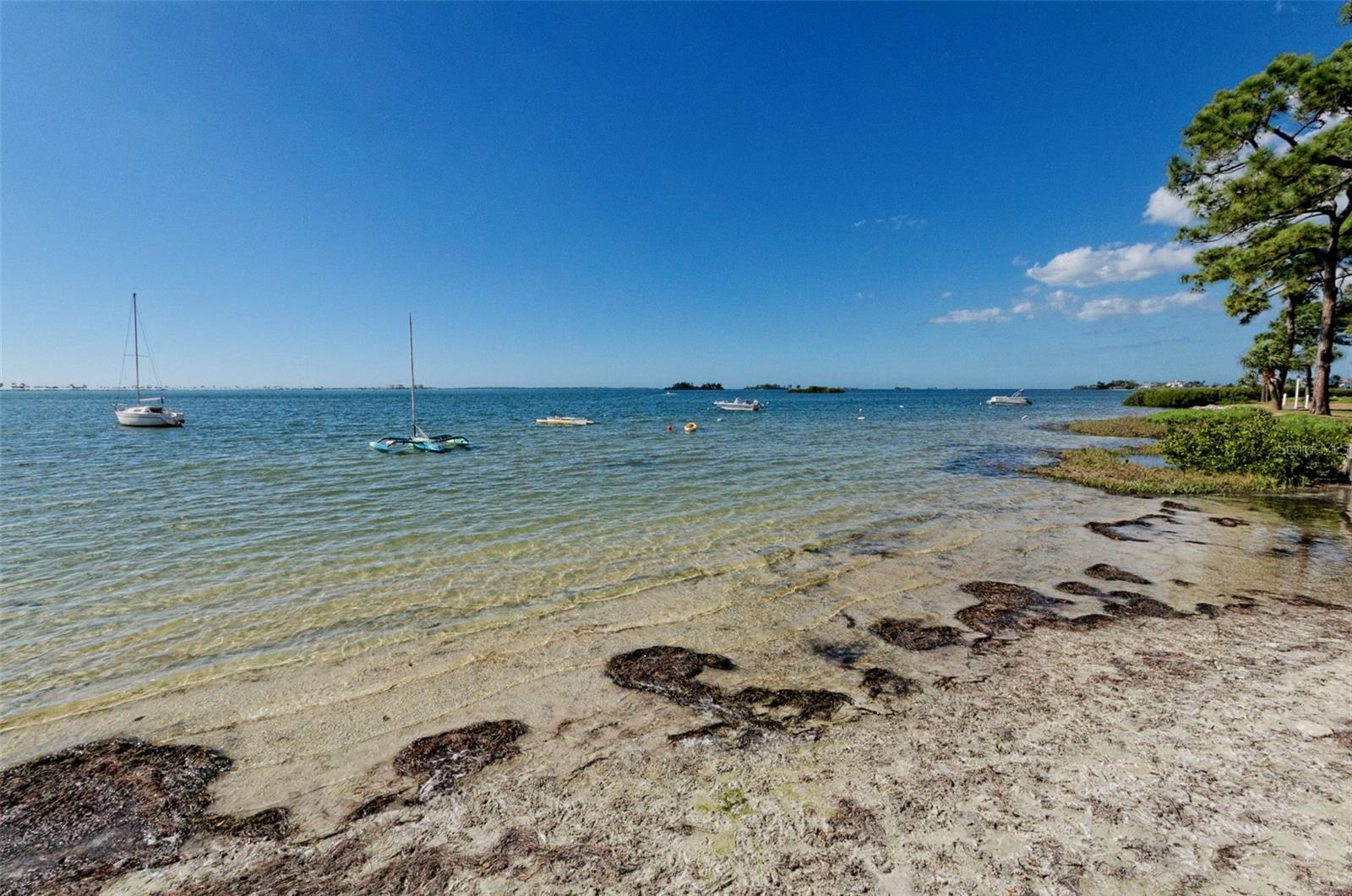 2700 BAYSHORE BOULEVARD 2204