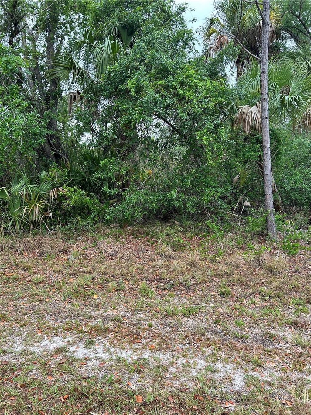 Photo of 361 Juper Street, Port Charlotte, FL 33953 (MLS # A4648212)