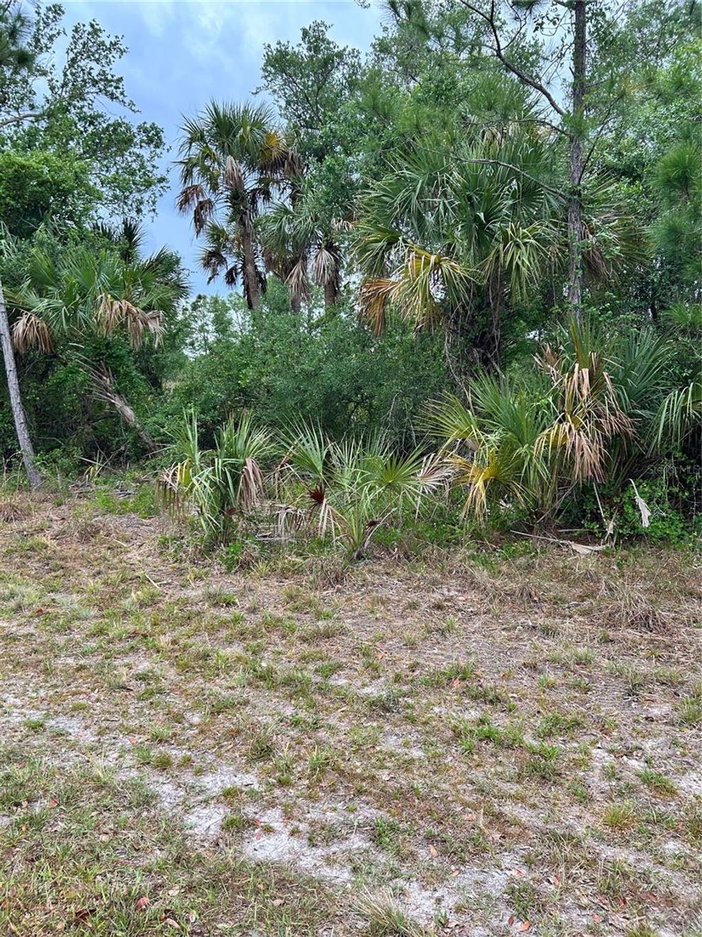Photo of 361 Juper Street, Port Charlotte, FL 33953 (MLS # A4648212)