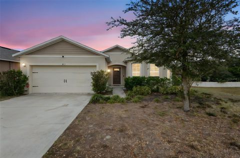 Photo of 859 Guadalupe Drive, Orange City, FL 32763 (MLS # O6375257)