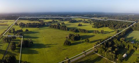 Tiny photo for 3682 W Highway 318, Citra, FL 32113 (MLS # OM711197)