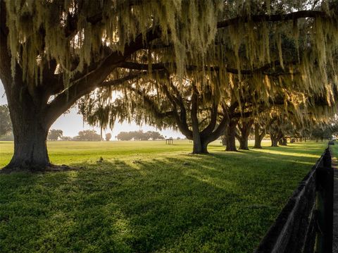 Tiny photo for 3682 W Highway 318, Citra, FL 32113 (MLS # OM711197)