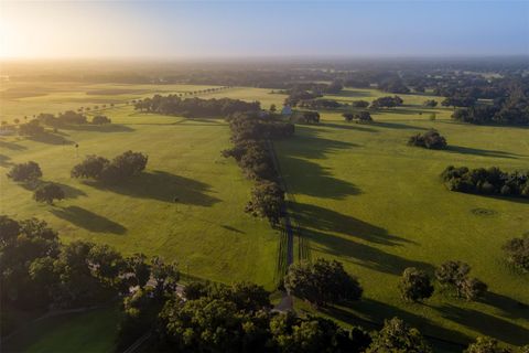 Tiny photo for 3682 W Highway 318, Citra, FL 32113 (MLS # OM711197)