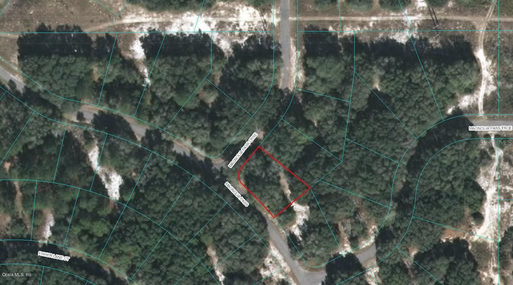 Photo of 00 Magnolia Pass Course, Ocklawaha, FL 32179 (MLS # OM523123)
