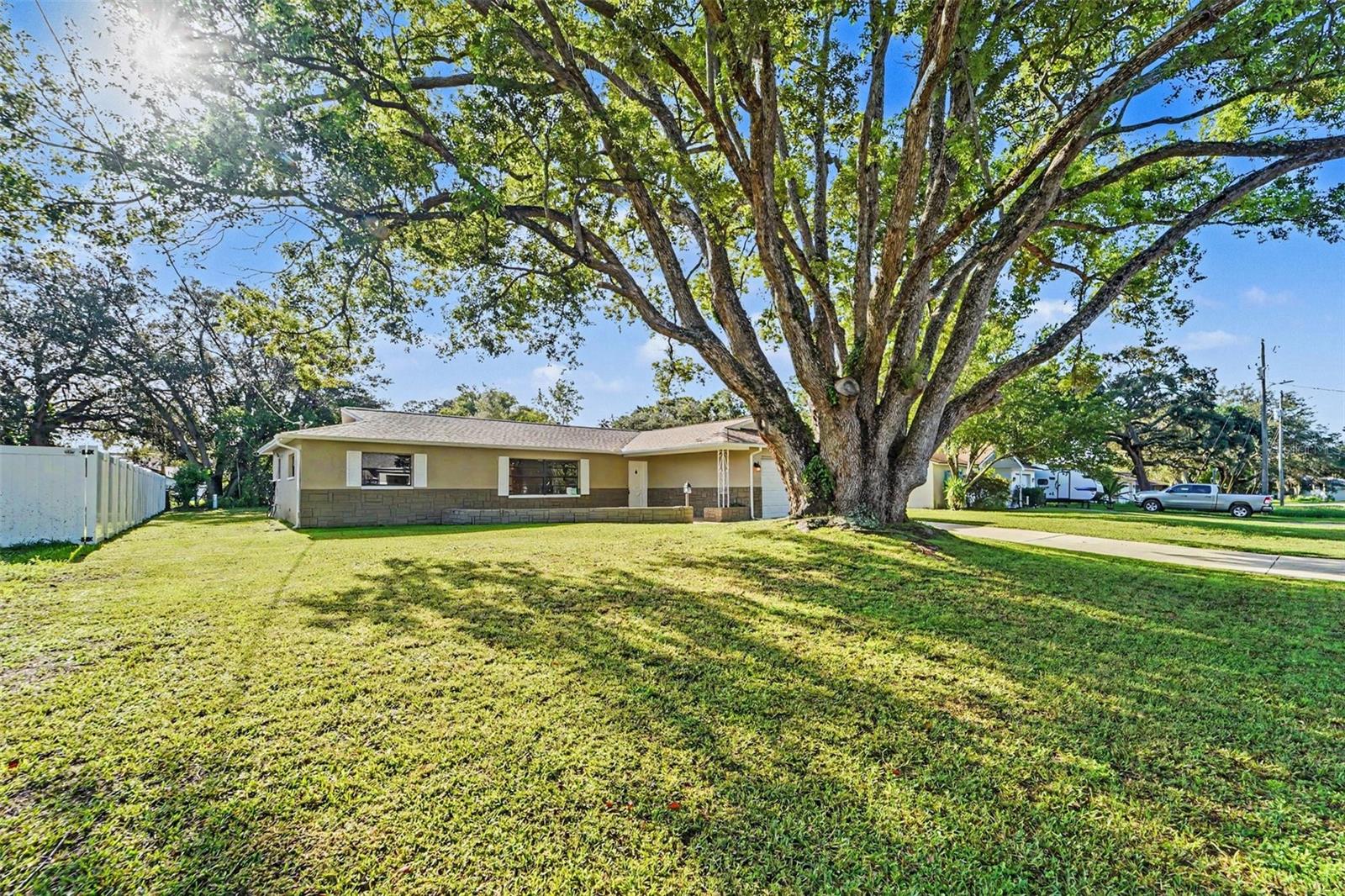 1364 DILL AVENUE