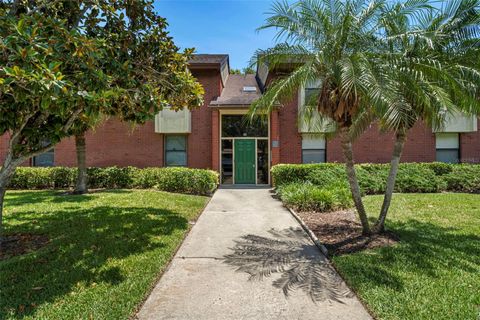 214 CARYL WAY OLDSMAR FL 34677