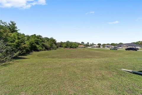 Tiny photo for 4020 NE 14th Court, Ocala, FL 34479 (MLS # OM724991)