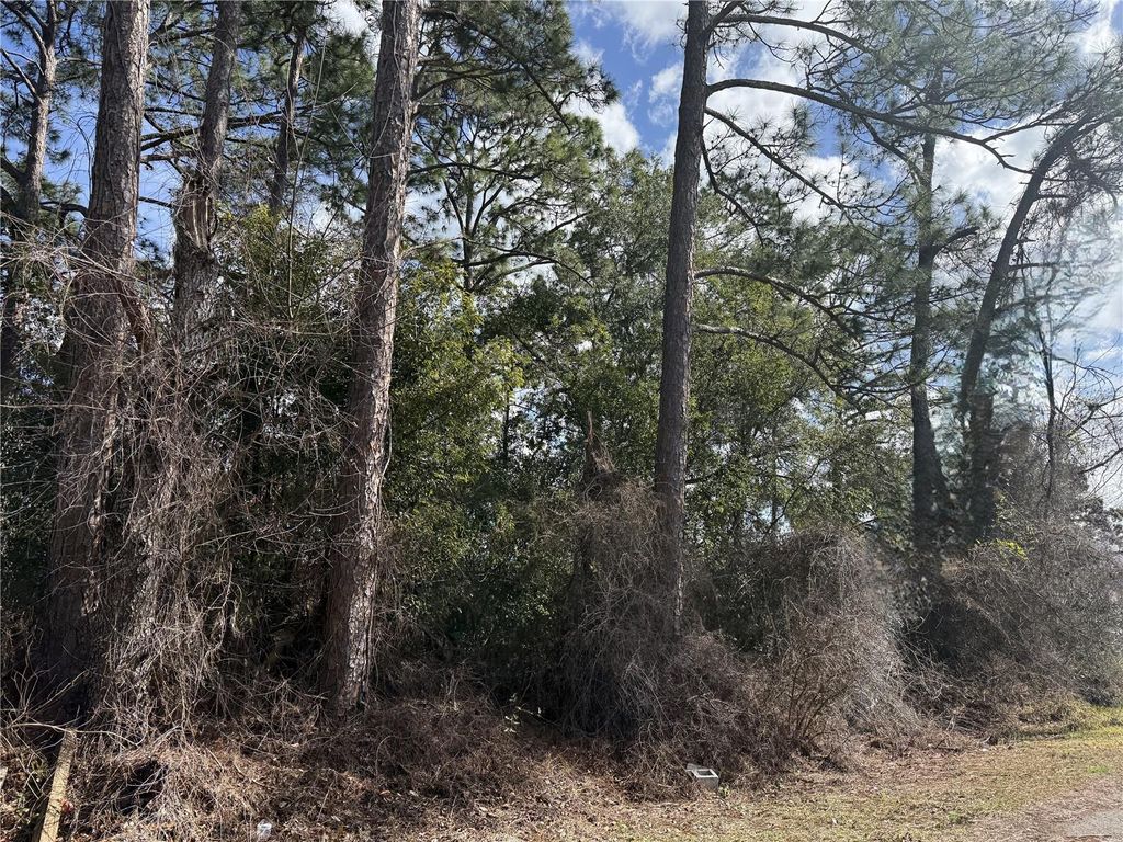 Photo of Tbd SE 190th Avenue, Silver Springs, FL 34488 (MLS # TB8468740)