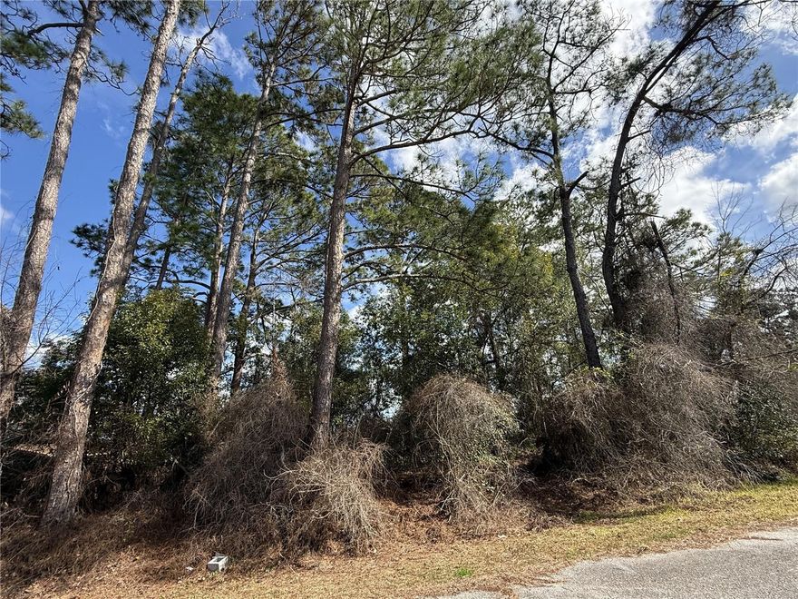 This Charming .17/acre property is tucked along the waters edge in Halfmoon Lake Homesites community in Silver Springs. Looks like a great place for Fishing, Kayaking and Airboating.  Great location between the great city of Ocala and Ocala Forest. The property is zoned R4 which allows residential homes or manufactured homes. Please confirm with Marion County building and utility information.