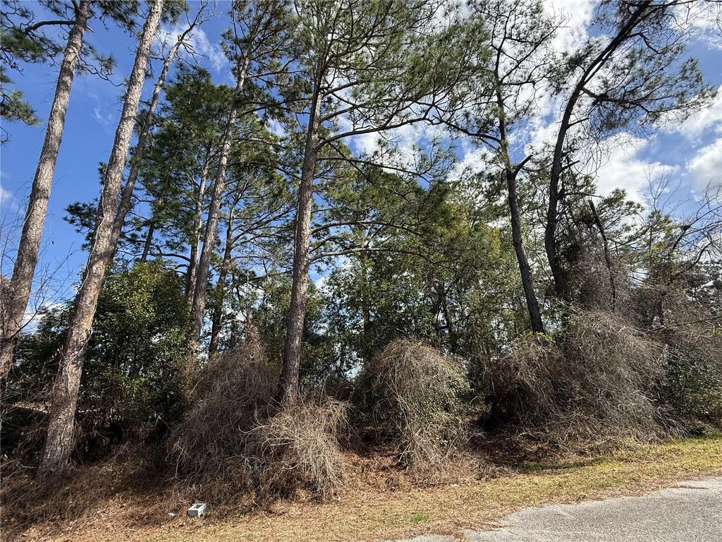 Photo of Tbd SE 190th Avenue, Silver Springs, FL 34488 (MLS # TB8468740)