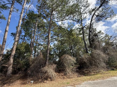 TBD SE 190TH AVENUE SILVER SPRINGS FL 34488