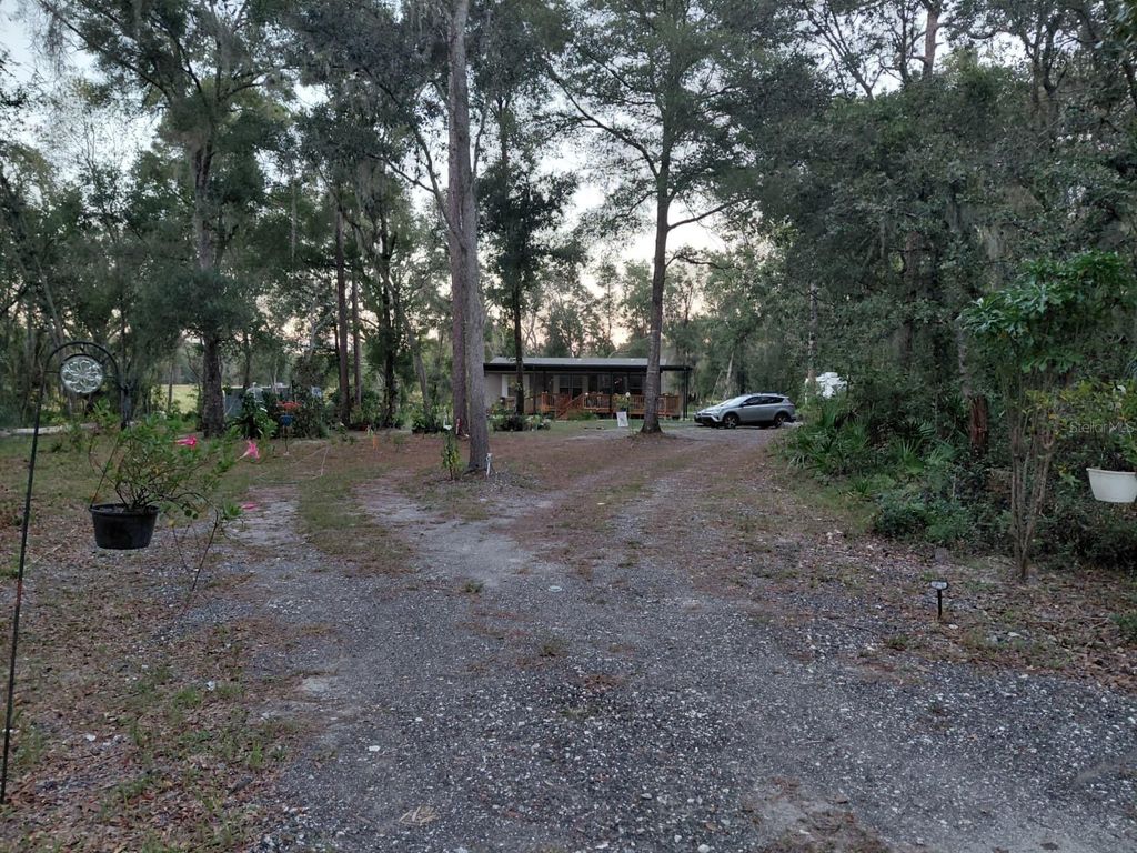 Photo of 36015 Butternut Drive, Webster, FL 33597 (MLS # TB8439112)