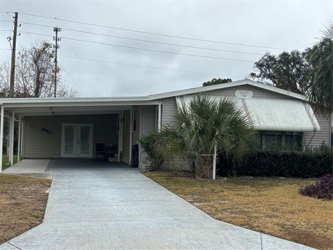 1335 E SCHWARTZ BOULEVARD LADY LAKE FL 32159