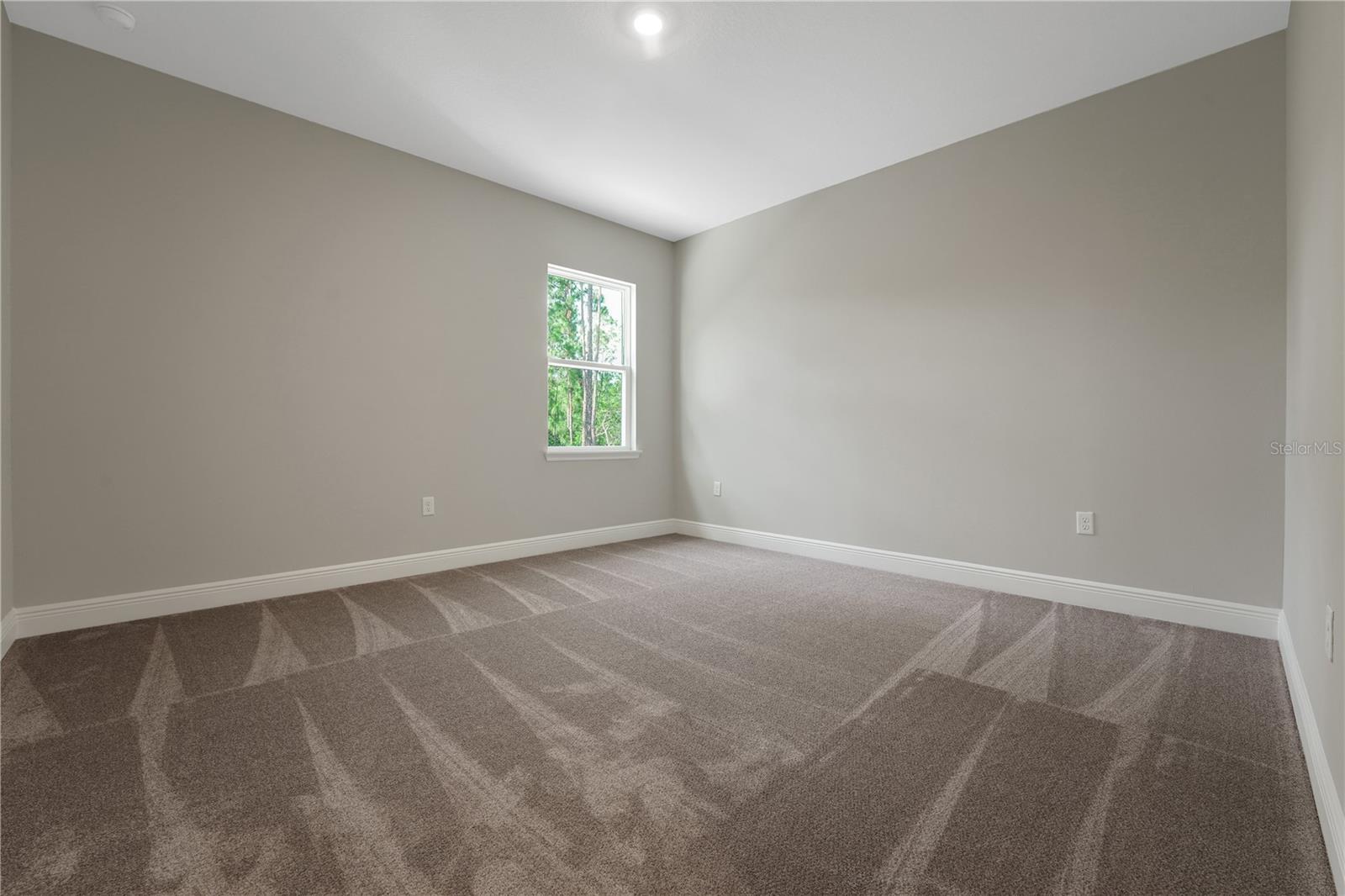 PALMS AT WINDERMERE - Residential