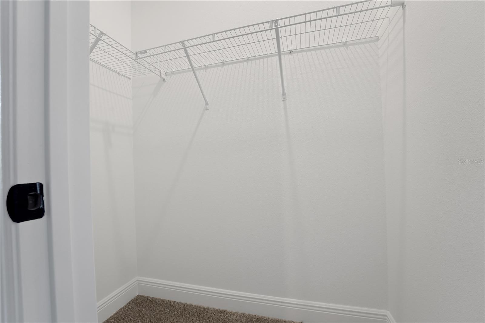 PALMS AT WINDERMERE - Residential