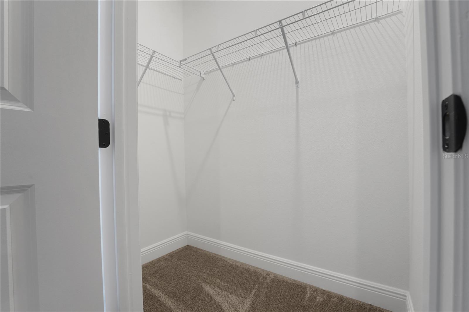 PALMS AT WINDERMERE - Residential