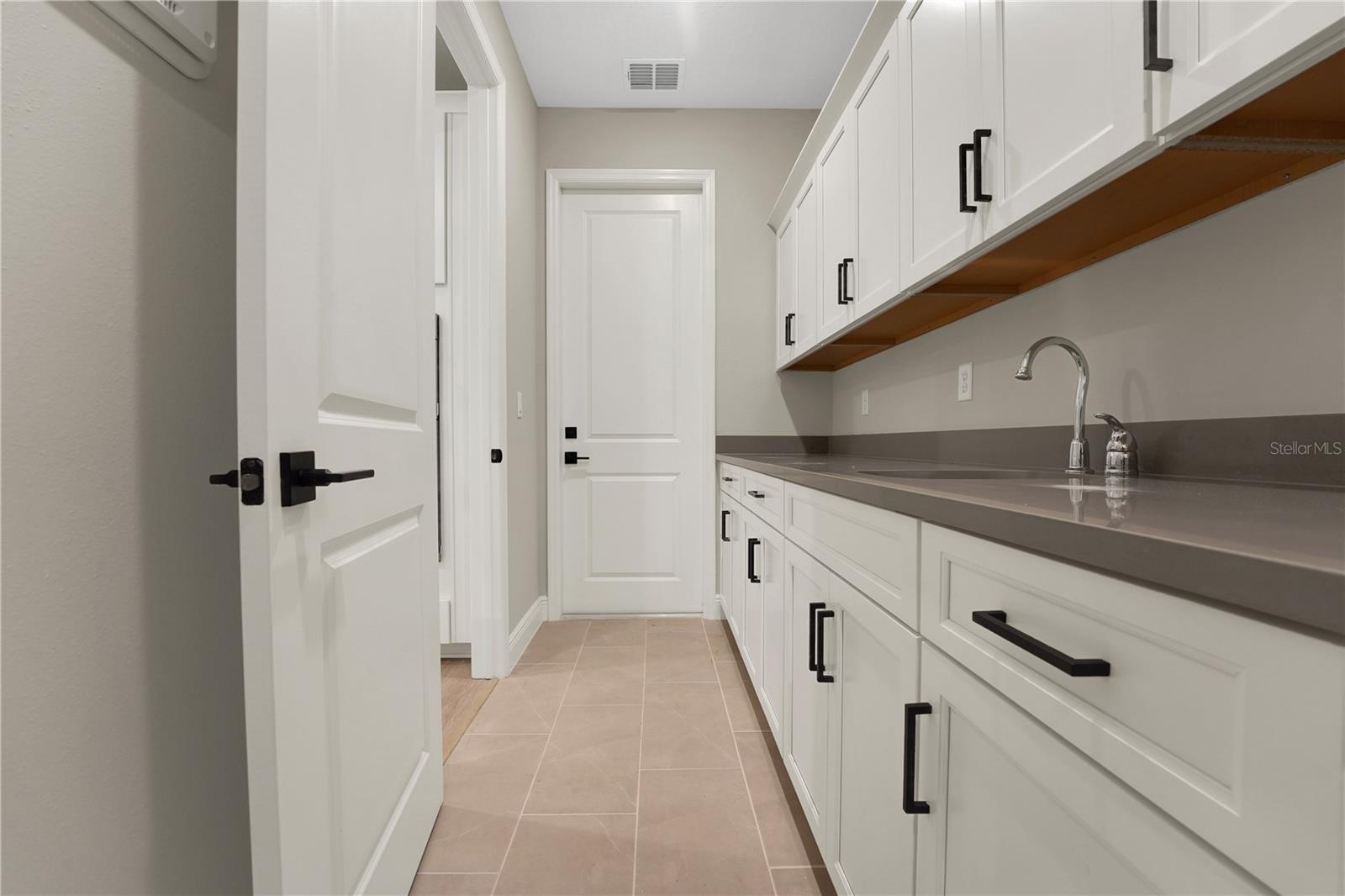 PALMS AT WINDERMERE - Residential