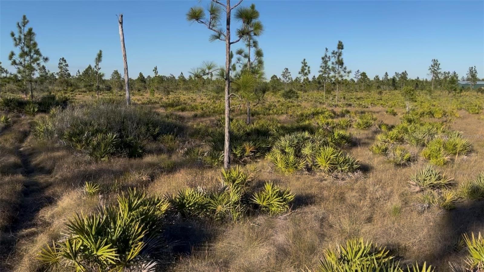 SUBURBAN ESTATES UNIT D UNREC - Land