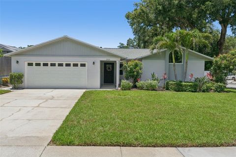 Photo of 2521 Gulfbreeze Circle, Palm Harbor, FL 34683 (MLS # TB8520362)