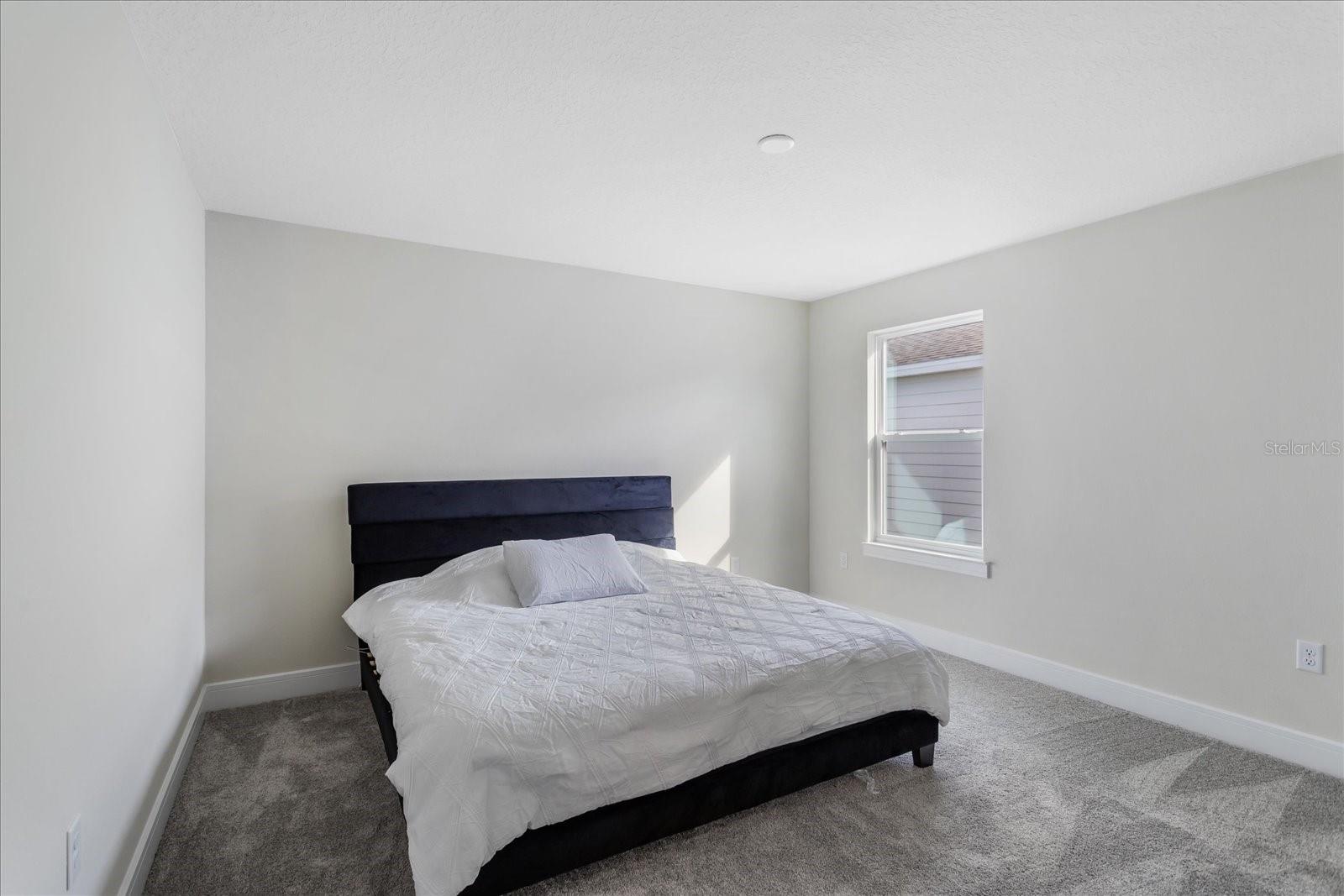 WINDING MEADOWS - Residential