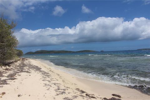 250 Zoni PLAYA LARGA CULEBRA  00775