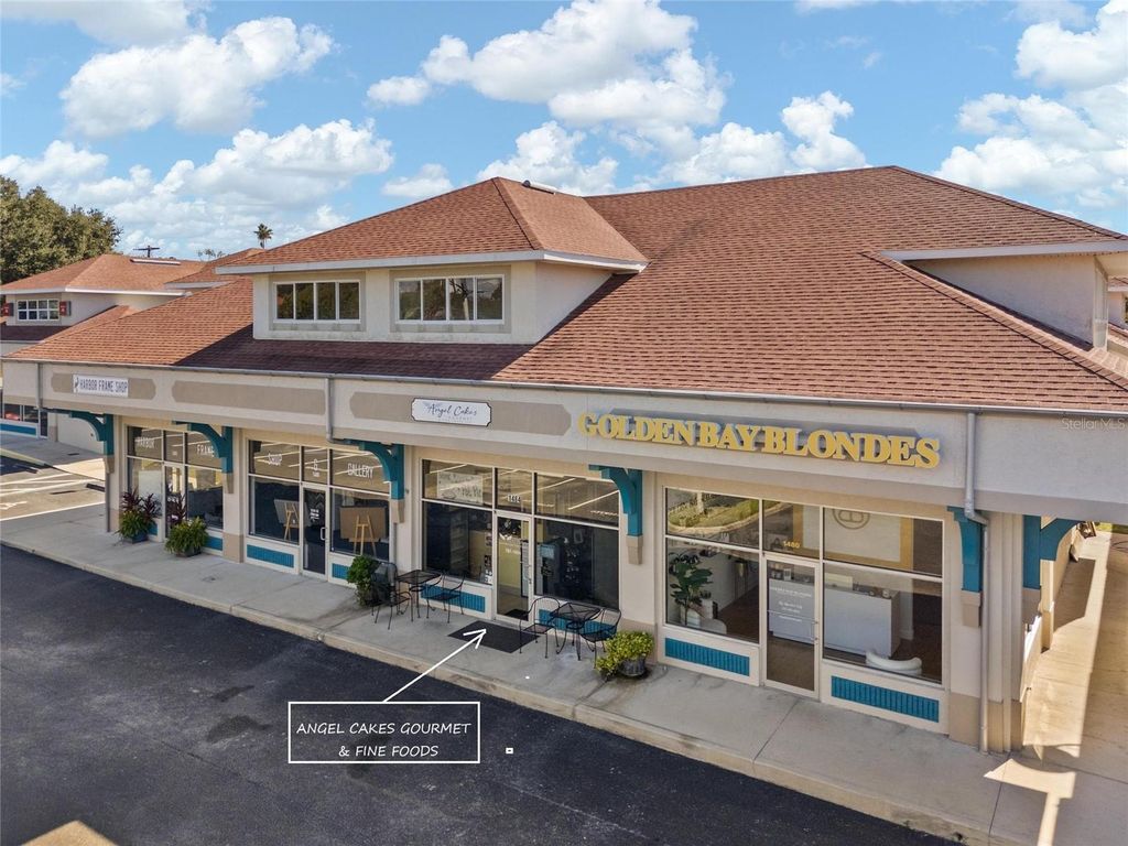 Photo of 1484 Alternate 19 N, Palm Harbor, FL 34683 (MLS # TB8504925)
