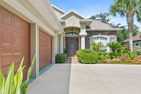 A home in PALM COAST