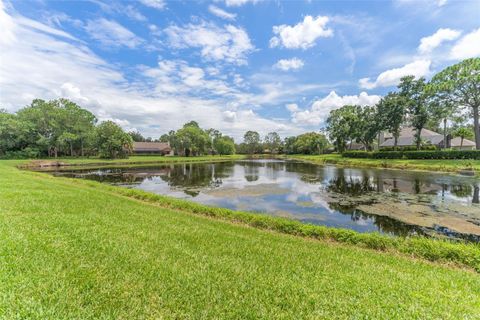 A home in TAMPA