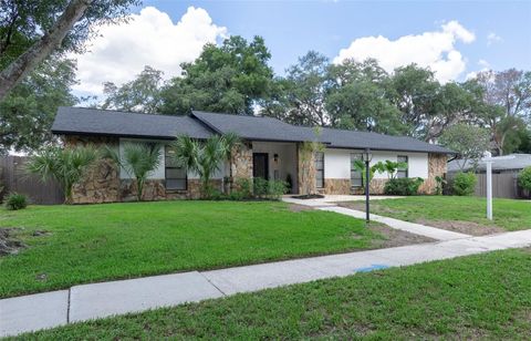 A home in TAMPA