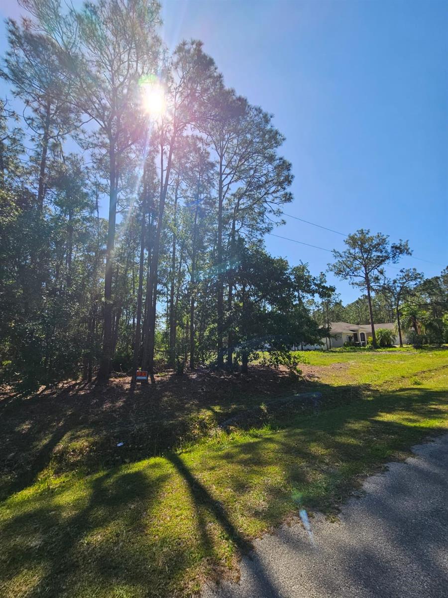 **SELLER MOTIVATED ** Lot for Sale – 1.01 Acres
Excellent opportunity for those who want to build their dream home or make a safe investment.
With 1.01 acres, this land offers space and versatility to carry out your ideal project.
Don't miss this chance! Contact us now and take advantage of this unique opportunity.