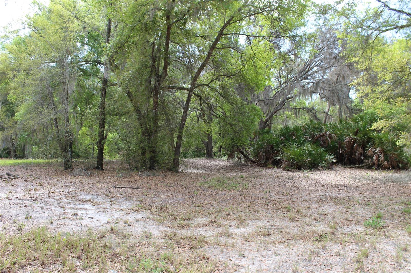 2-Acre all High & Dry Lot in Clearwater Reserve – Build Your Dream Estate!
Don’t miss this rare opportunity to own Lot 67 in the serene, gated community of Clearwater Reserve, one of Central Florida’s premier country estate neighborhoods. This 2-acre homesite offers privacy, space, and endless potential to create your perfect retreat.
Property Highlights:
Over 500 Feet of Road Frontage – along Bright Lake Circle, a quiet cul-de-sac with no through traffic.
No Rear Neighbors – A waterfront lot with tranquil views and plenty of privacy.
Flexible Building Options – No time requirements to build, and you can bring your own builder! A minimum of 2,000 sq. ft. of living space is required, with most homes in the community being custom-built estates.
Community Features: Gated Access for security and peace of mind, Community Dock on a private fishing lake, Playground & Green Space with abundant birds and wildlife, 2 Tennis Courts and Pickle Ball for recreation, Paved Private Roads and underground electric utilities, High-Speed Internet with recently installed fiber optic cable.
Equestrian Potential - Have horses? Clearwater Reserve offers ample acreage, green space, and quiet roads – perfect for building your equestrian estate!
Prime Location:
Just 15 minutes to north or south Turnpike entrances
5 miles to Publix, Winn Dixie, and local restaurants
Close to the new Orlando Health Hospital
Minutes from public boat ramps on Lake Harris Chain of Lakes
54 miles to Orlando International Airport
This lot offers a perfect balance of country living with modern amenities and convenient access to nearby cities. With several new custom homes being built, it’s the ideal time to join this growing community.
Don’t let this exceptional lot slip away – build your future at Clearwater Reserve!