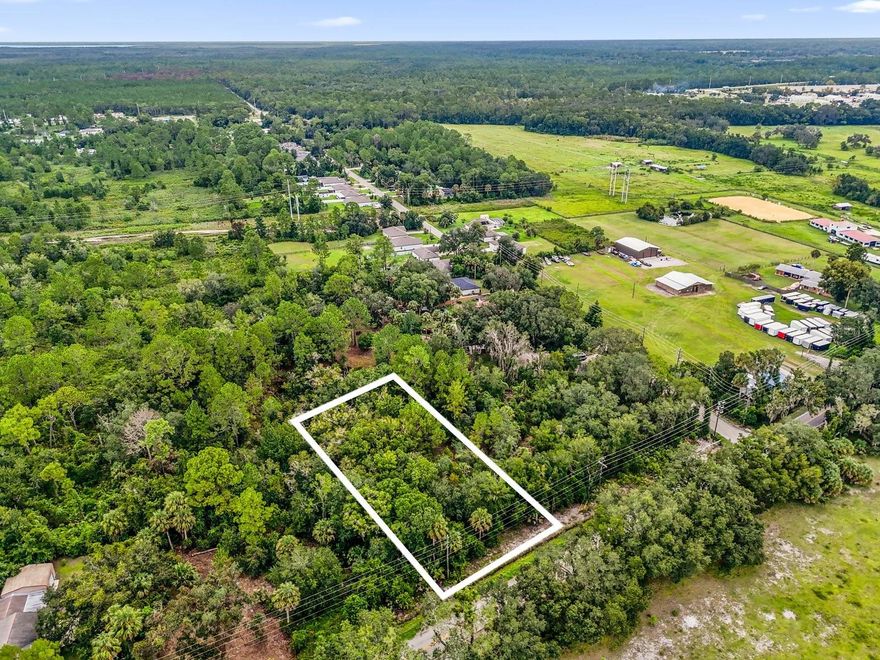 Here’s your chance to own almost 1/2 acre in beautiful DeLand, offering space, flexibility, and privacy. Enjoy peaceful surroundings away from the hustle and bustle, while still being close to shopping, downtown DeLand, the St. Johns River, and just a 35-minute drive to Daytona Beach and New Smyrna.