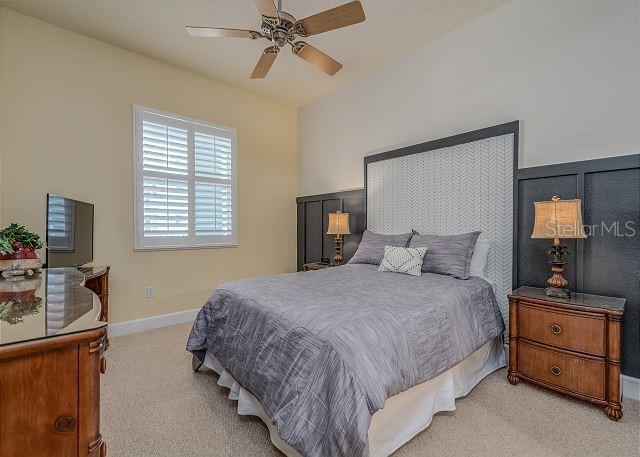 OCEAN HAMMOCK - Residential