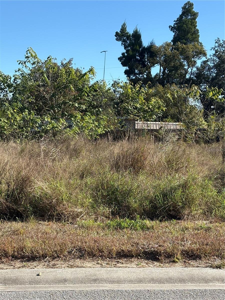 CODYS FOREST HILLS - Land