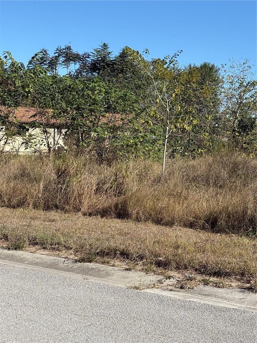 CODYS FOREST HILLS - Land