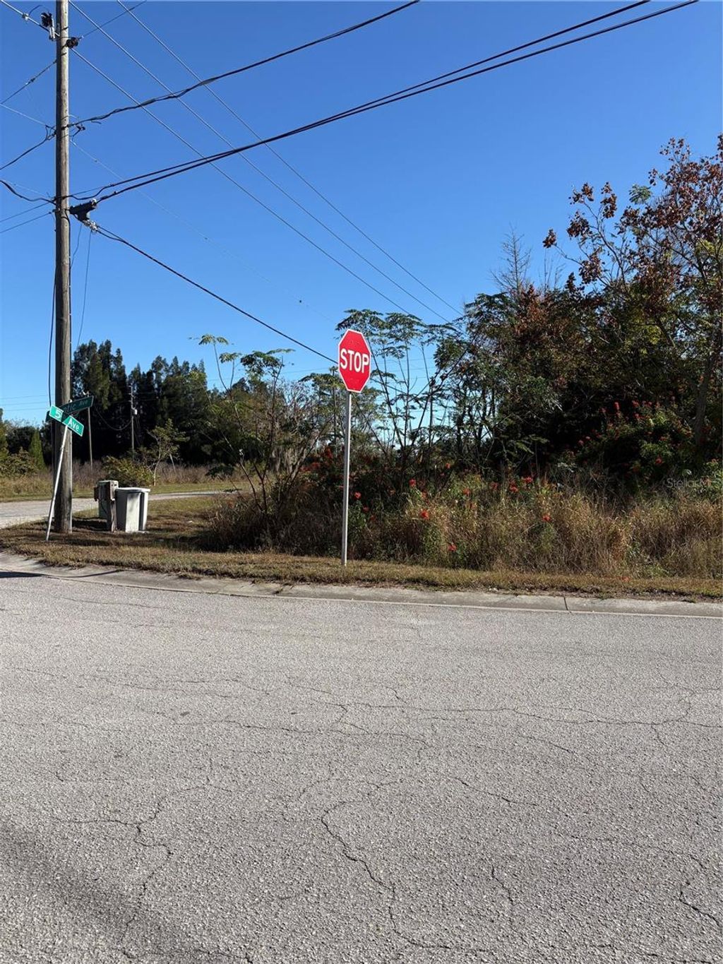 Photo of 128 5th Avenue, Babson Park, FL 33827 (MLS # P4937313)