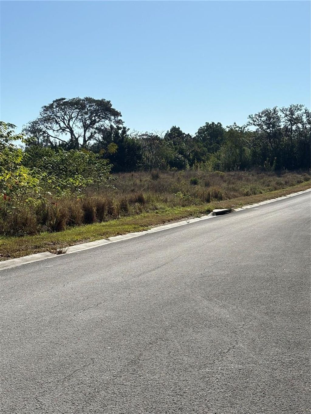 Photo of 128 5th Avenue, Babson Park, FL 33827 (MLS # P4937313)