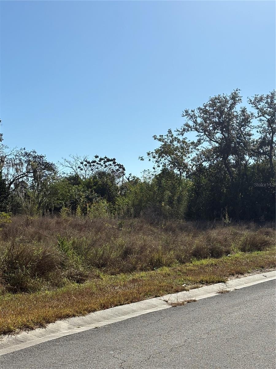 CODYS FOREST HILLS - Land