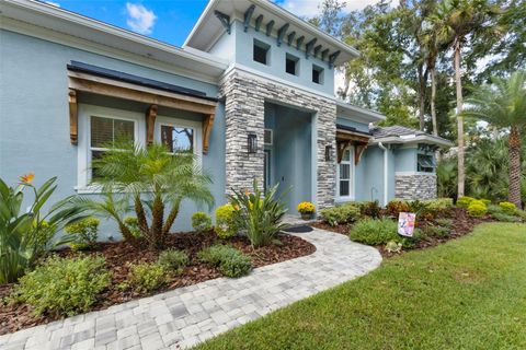 A home in NEW SMYRNA BEACH