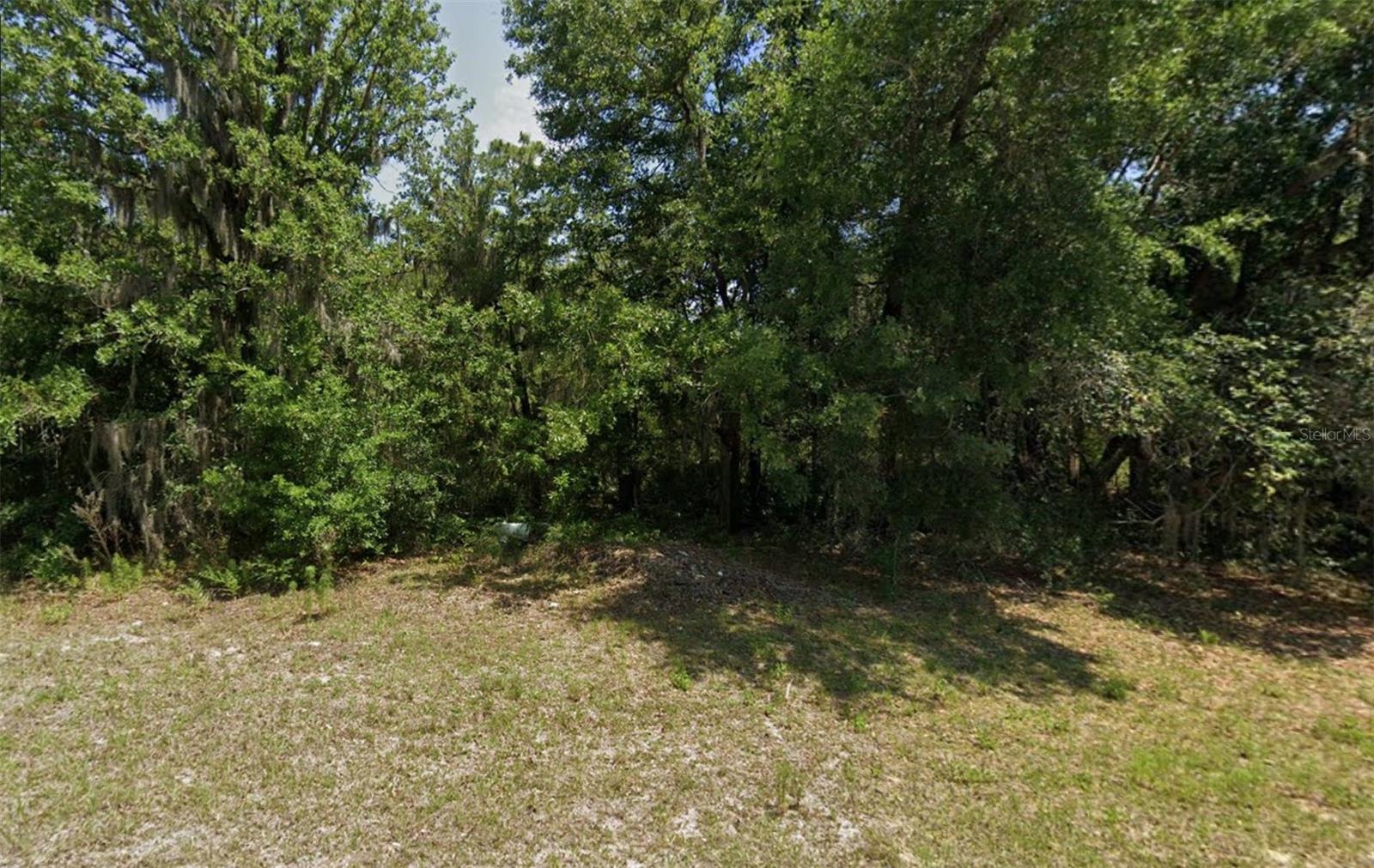 Discover the perfect opportunity to build your dream home in the desirable Marion Oaks subdivision! This spacious vacant lot offers the ideal setting for your custom home with plenty of room for outdoor living. Located in a quiet, well-established neighborhood with paved roads, nearby schools, shopping, dining, and easy access to major highways, this property combines convenience with peaceful living. No HOA fees make it even more attractive. Whether you’re ready to build now or secure land for the future, this lot is a smart investment in a growing community.