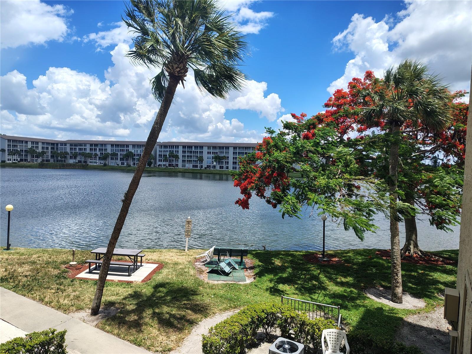 3737 LAKE BAYSHORE DRIVE 213