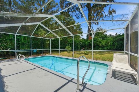 Tiny photo for 160 N Mesquite Point, Lecanto, FL 34461 (MLS # TB8514623)
