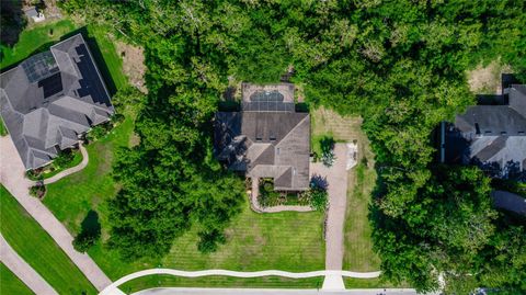 A home in MOUNT DORA