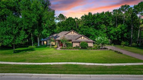 A home in MOUNT DORA