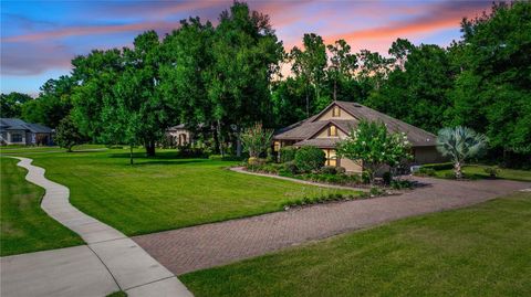 A home in MOUNT DORA