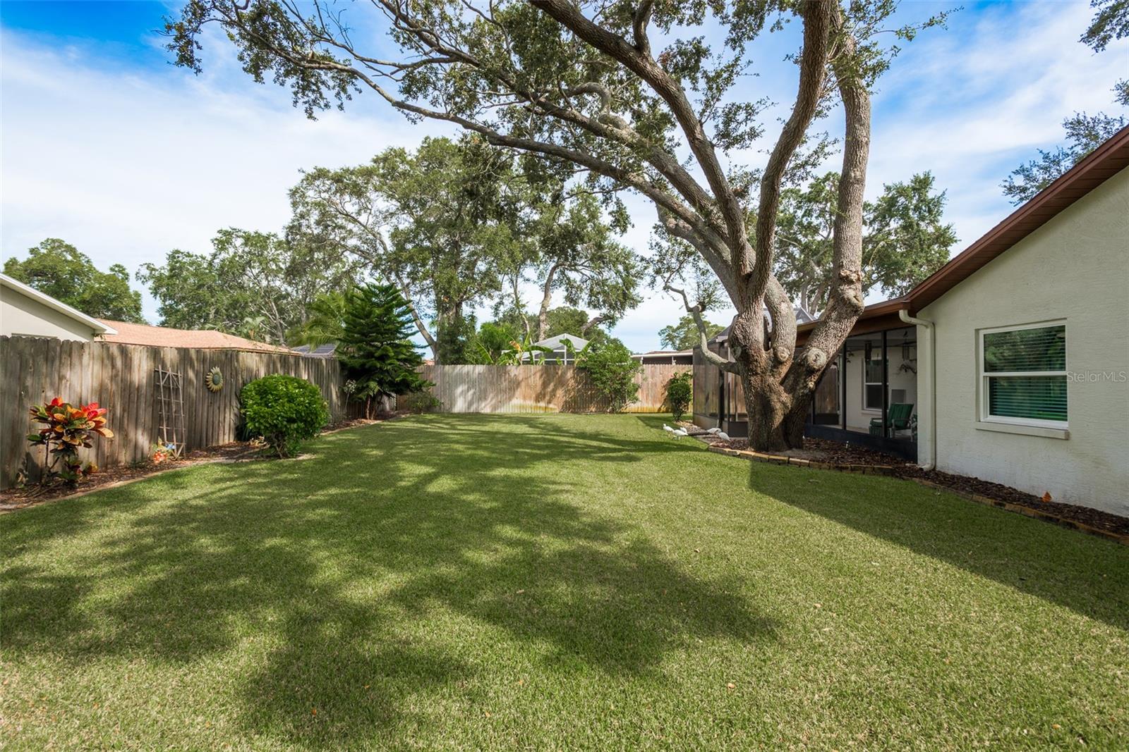 LAUREL OAK WOODS - Residential