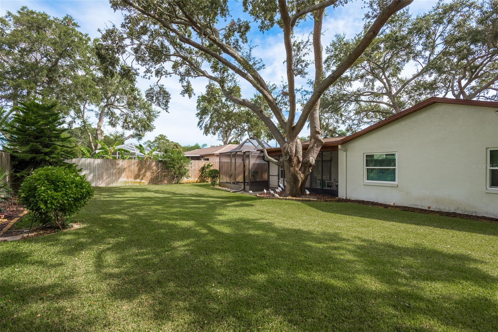 LAUREL OAK WOODS - Residential