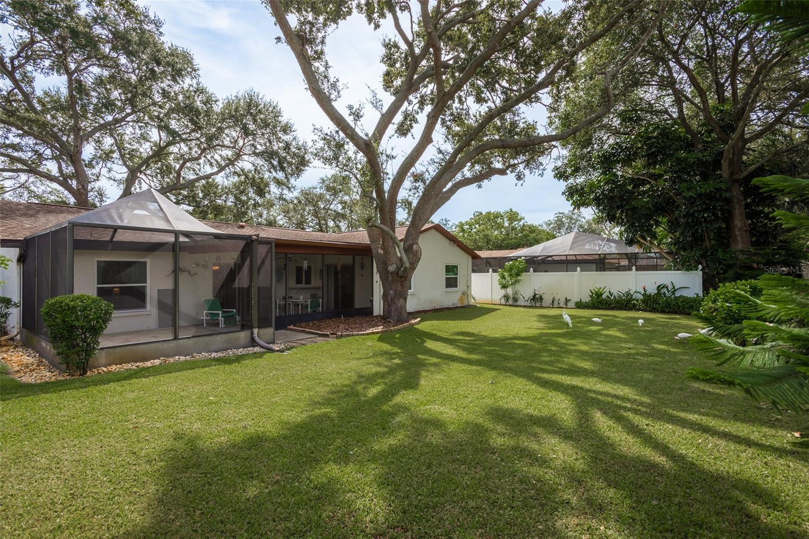 LAUREL OAK WOODS - Residential