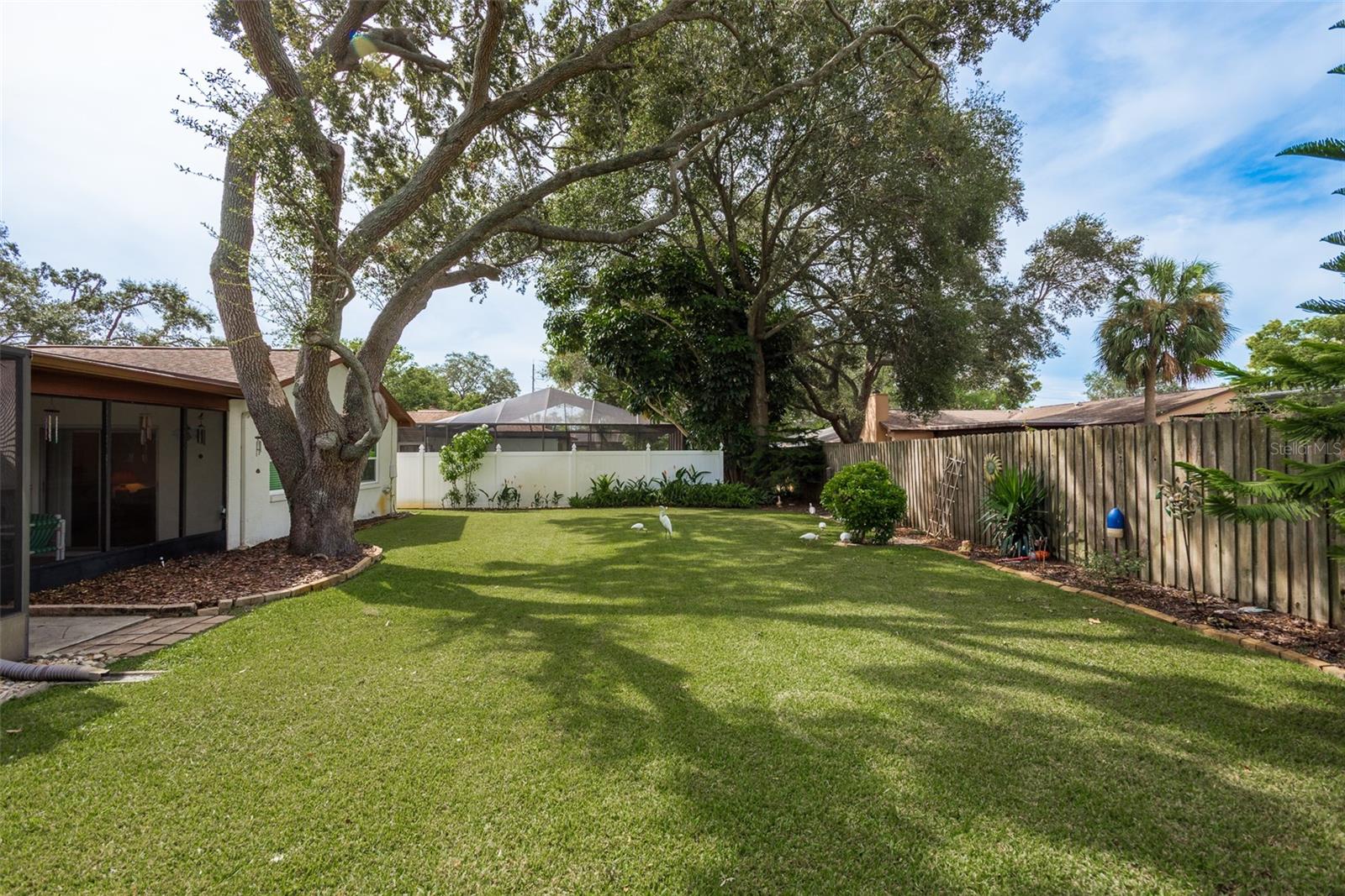 LAUREL OAK WOODS - Residential