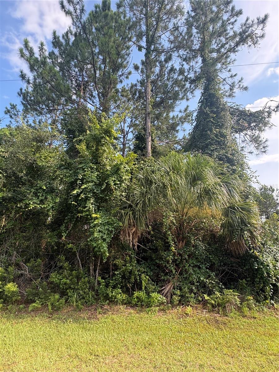 Photo of 17 Uhlerwood Court, Palm Coast, FL 32164 (MLS # FC319999)